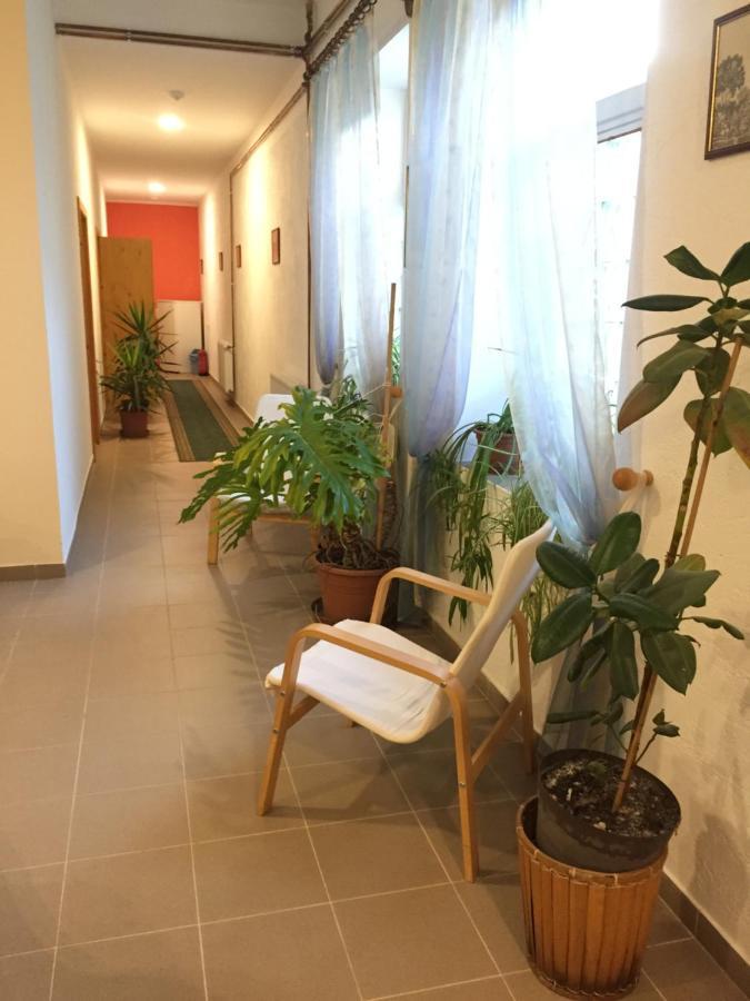 Gyomaendrőd Harang Panzio Bed & Breakfast エクステリア 写真